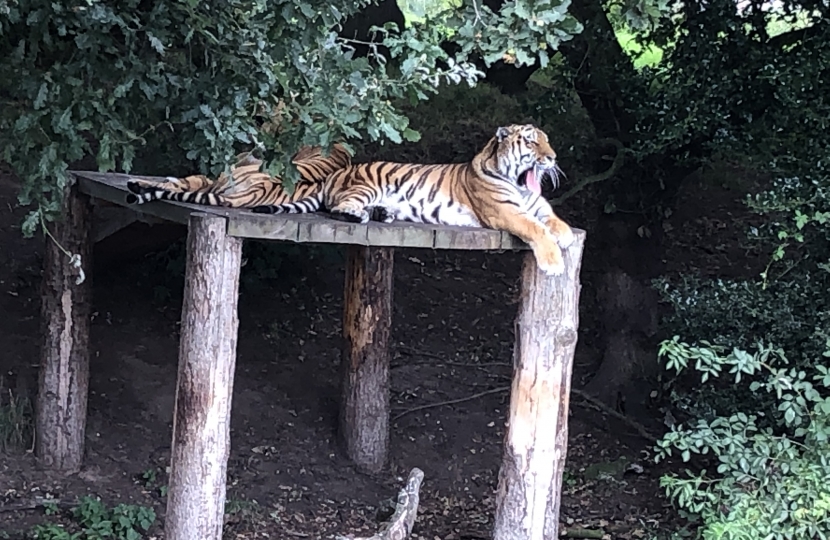 Yorkshire Wildlife Park, Brendan Clarke-Smith MP, Bassetlaw, Tiger, Zoo, Covid, Fraser McFarland